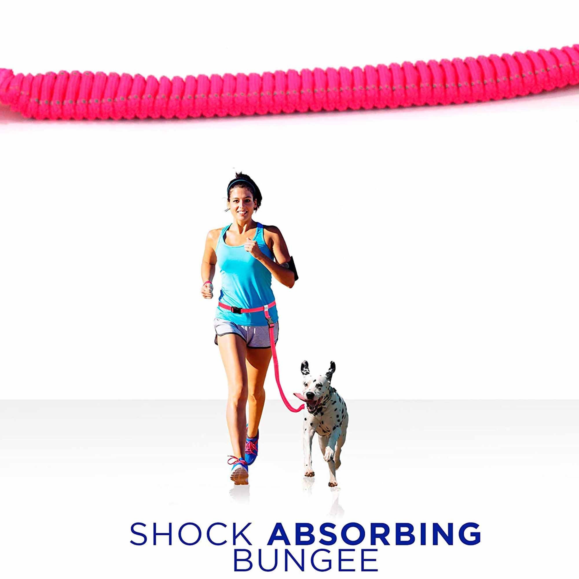 Personalized Pawtitas Handsfree Dog Leash Reflective Padded Running Belt with Dog Name