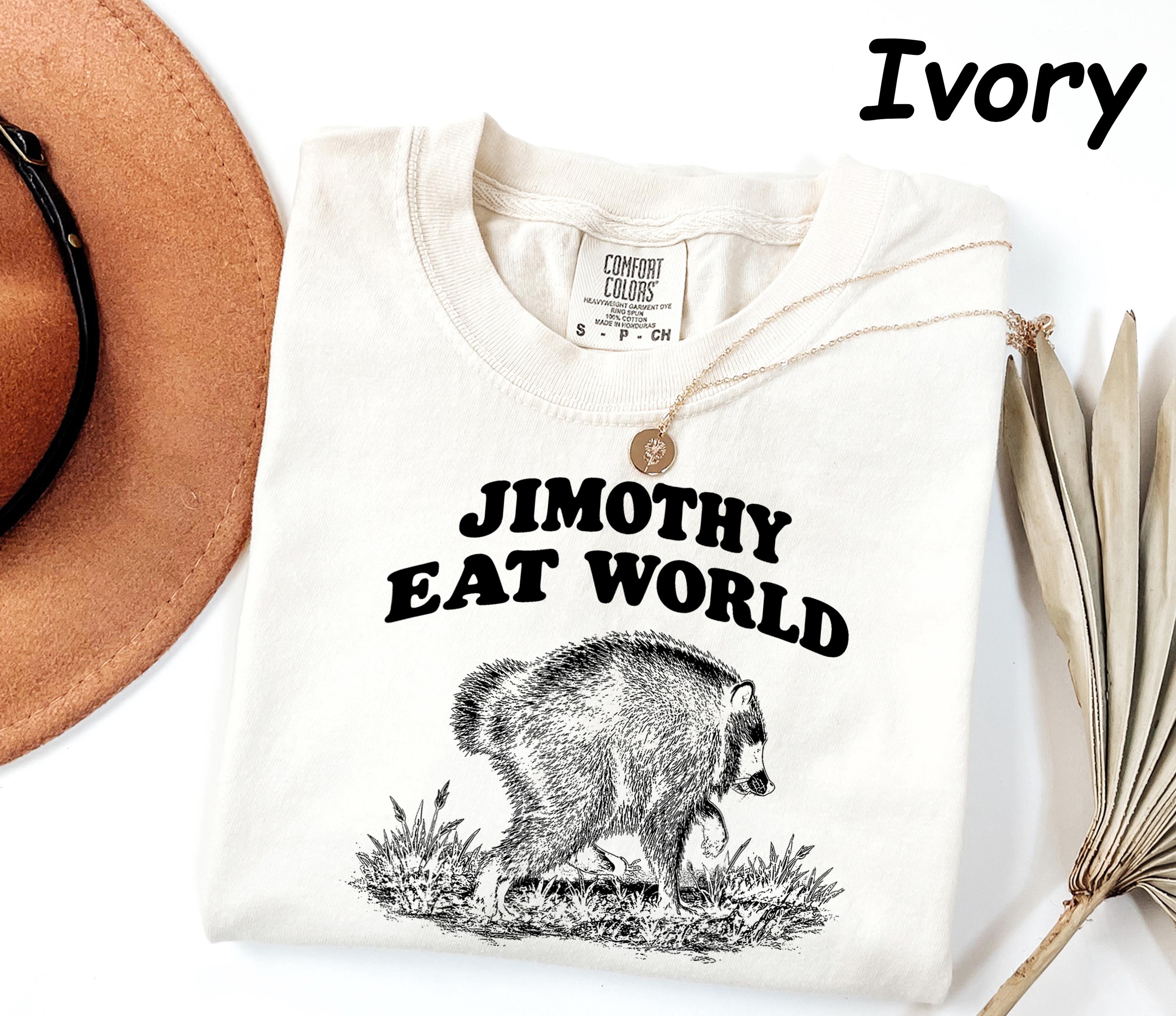 Retro Raccoon T-Shirt: In a World Full of Ordinary Be a Jimothy Graphic Tee