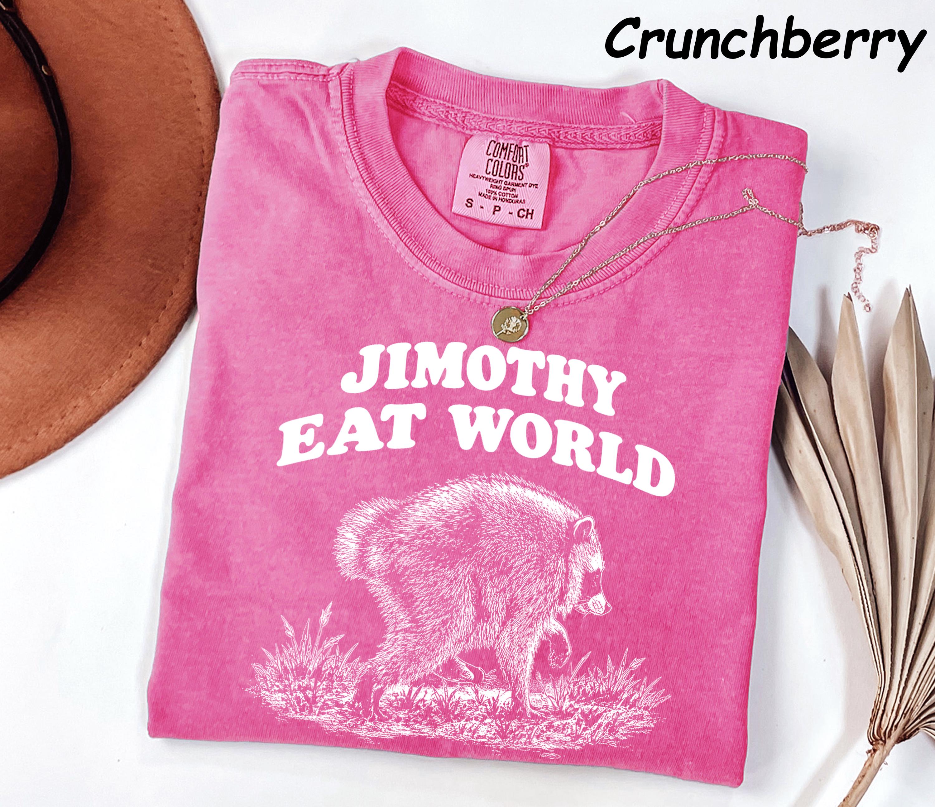 Retro Raccoon T-Shirt: In a World Full of Ordinary Be a Jimothy Graphic Tee