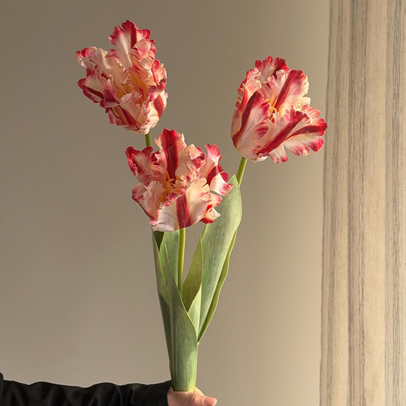 Personalized Real Touch Tulip Flowers Mother's Day Gifts Handcrafted Birth Flowers