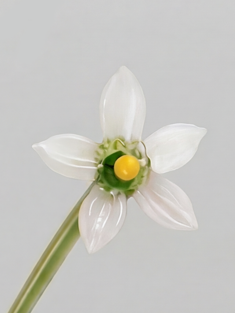 Personalized Glass Birth Month Flower Birth Flower Gift Hand Blown Spring Flower Glass Flower Bouquet Valentine's Day Gift For Her Home Decor-1