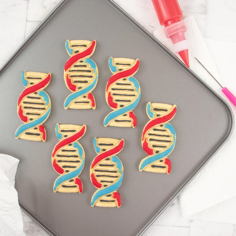 Personalized DNA Cookie Cutter 3D Printed Microbiology Genetics Science Baking Supplies Fondant Tool Craft Stamp for Geek Lover