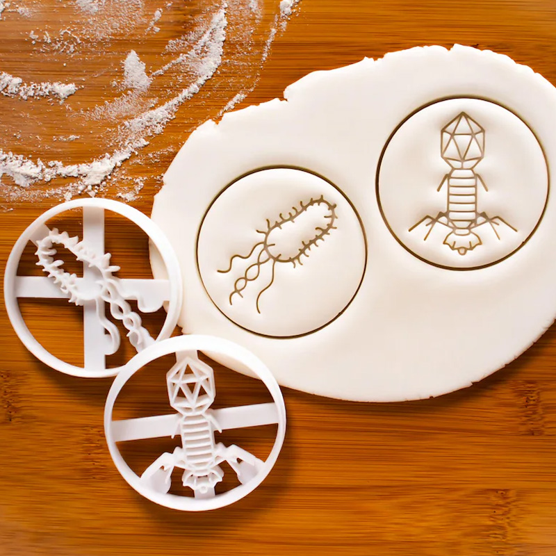 Personalized Bacteria Flask Cookie Cutter 3D Printed Microbiology Laboratory  Geeky Baking Supplies Fondant Tool Craft Stamp for Geek Lover