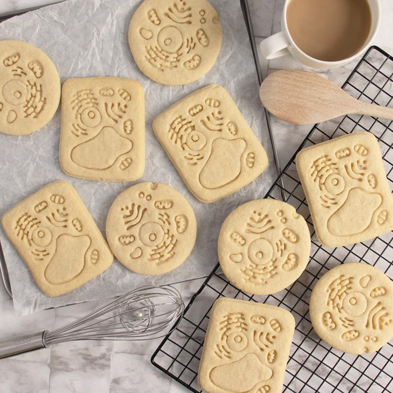 Personalized Human Cell Cookie Cutter 3D Printed Biology Shape Geeky Baking Supplies Fondant Tool Craft Stamp for Geek Lover