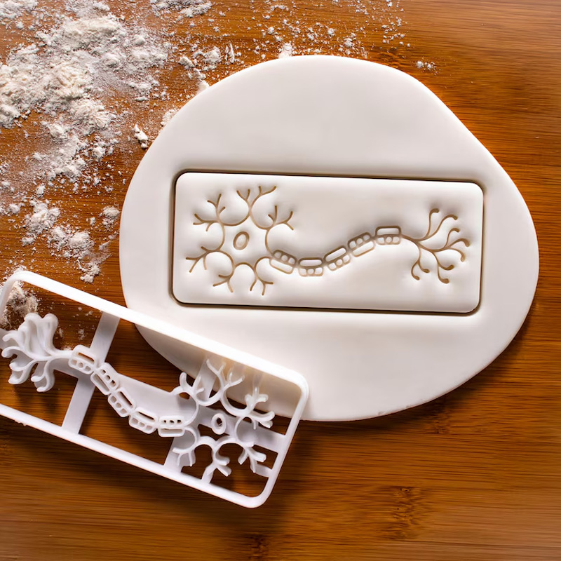 Personalized Science Anatomical Brain Cookie Cutter 3D Printed Baking Tool Craft Stamp for Geek Lover
