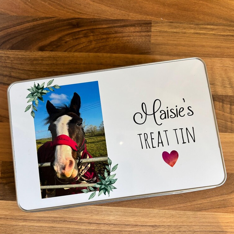 Personalized Pet Treat Storage Tin Equestrian Gift for Horse Riding Lovers