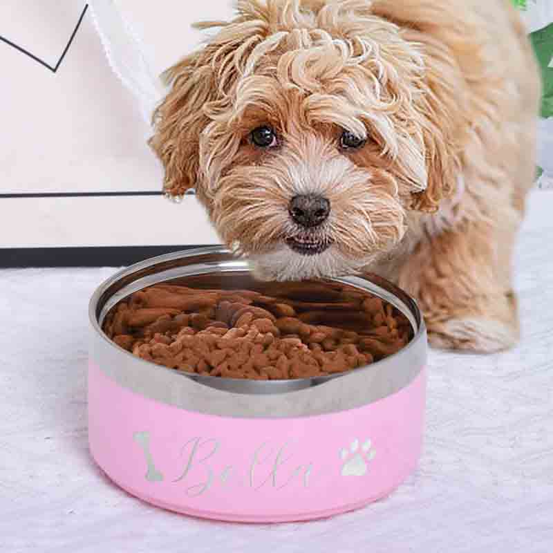 Personalized Pet Lover Stainless Steel Pet Bowl with Name Paw and Dones Pet Bowl