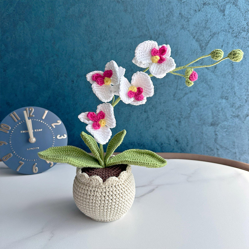 Mothers Day Gift Handmade Knitted Flower Pot Crochet Butterfly Orchid Plant Gift for Mom Grandma Mother's Day Gifts