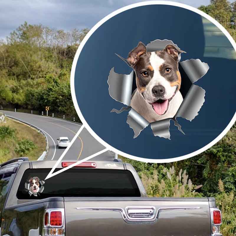 Personalized Dog Lover Photo RV Decal Cracking You Up One Paw at a Time Stickers