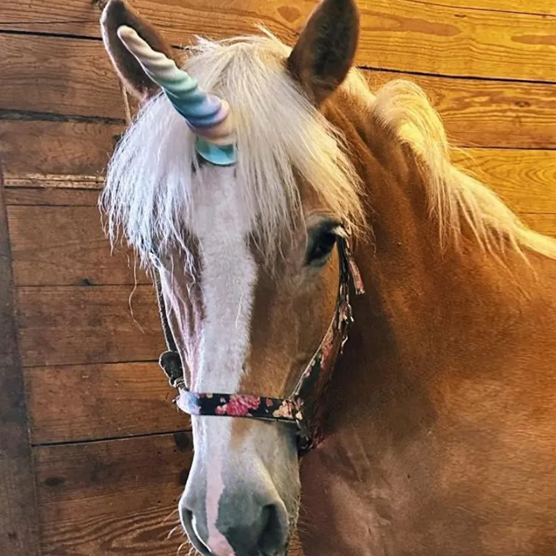 3D Print Equine Unicorn Horns Gift for Equestrain Lovers