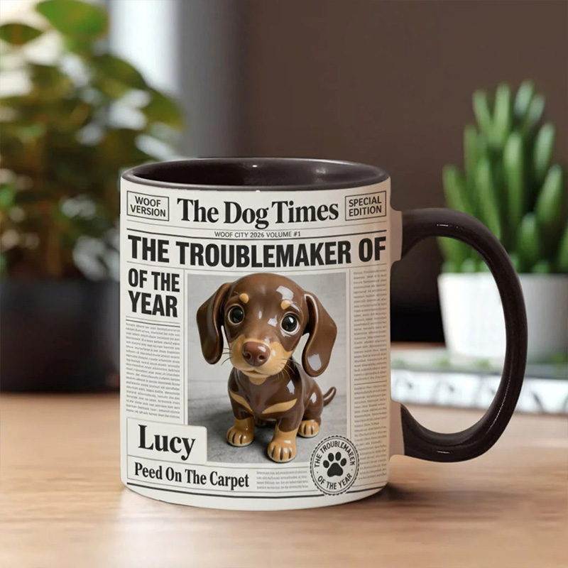 Personalized Dog "The Troublemaker Of The Year" Mug For Pet Lover Gift