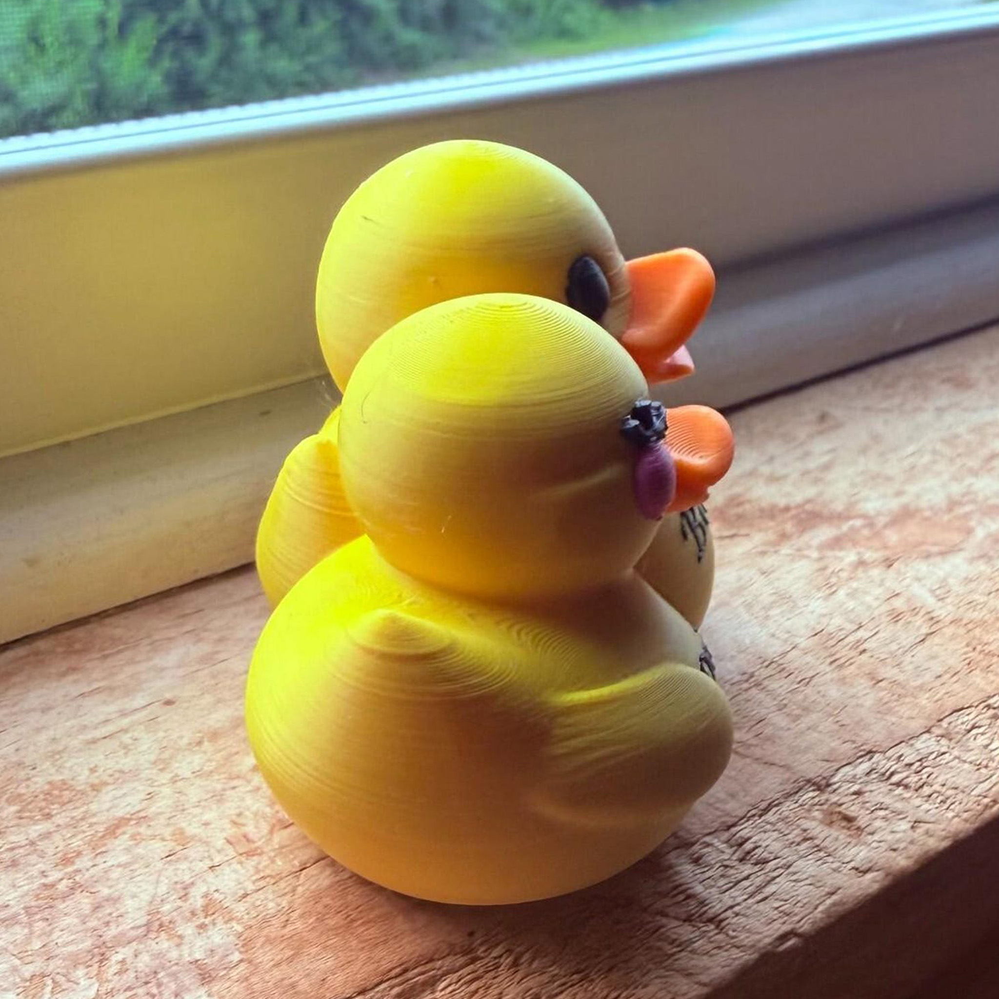 Personalized 3D Printed Couples Ducks Cute Couple Gift Home Decorations