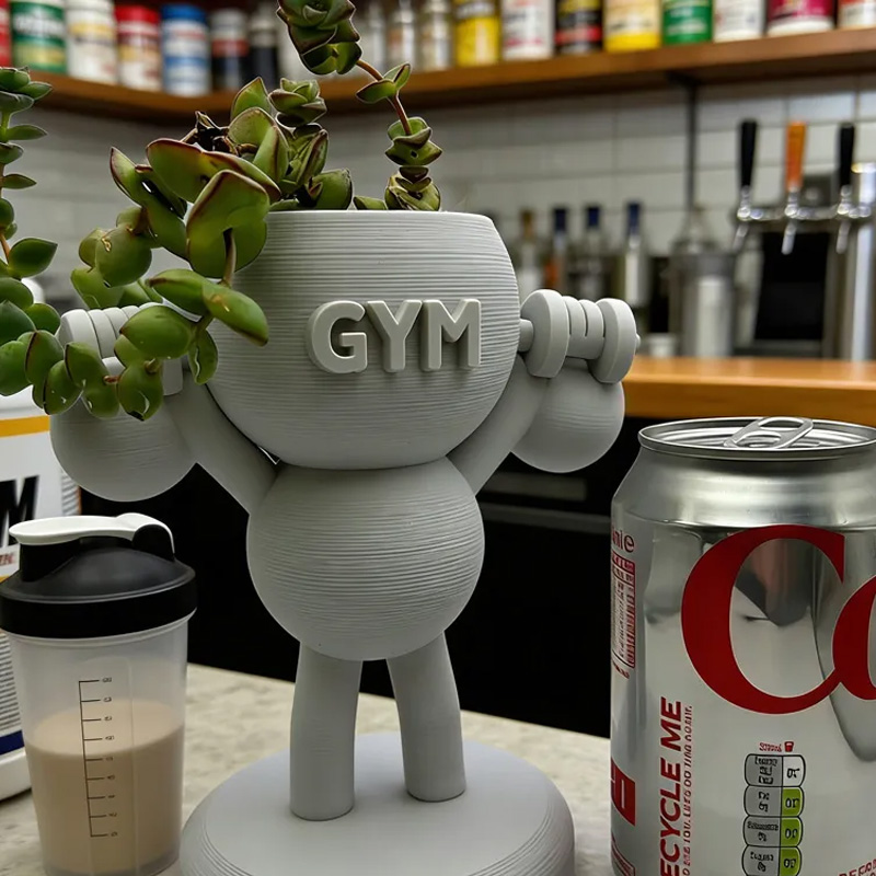 Personalized 3D Printed Kettlebells Succulent Plant Pot Weightlifter Strength Trainer Airplant Succulent Holder Gift for Friends Gym Rat Gym Lovers