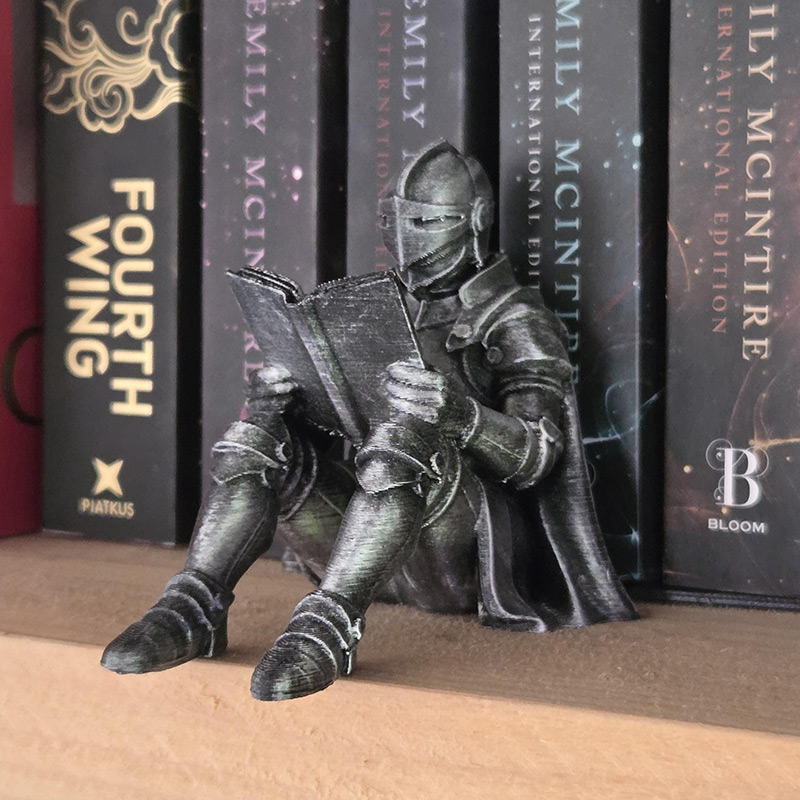 Personalized Medieval Knight Book Nook Armored Book Lover Figurine Fantasy Bookshelf Decor Unique Gift for Readers Gift for Book Lover