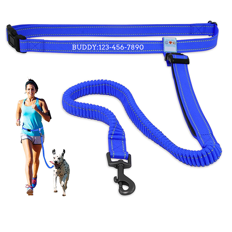 Personalized Pawtitas Handsfree Dog Leash Reflective Padded Running Belt with Dog Name