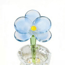 Moth Orchid-Blue