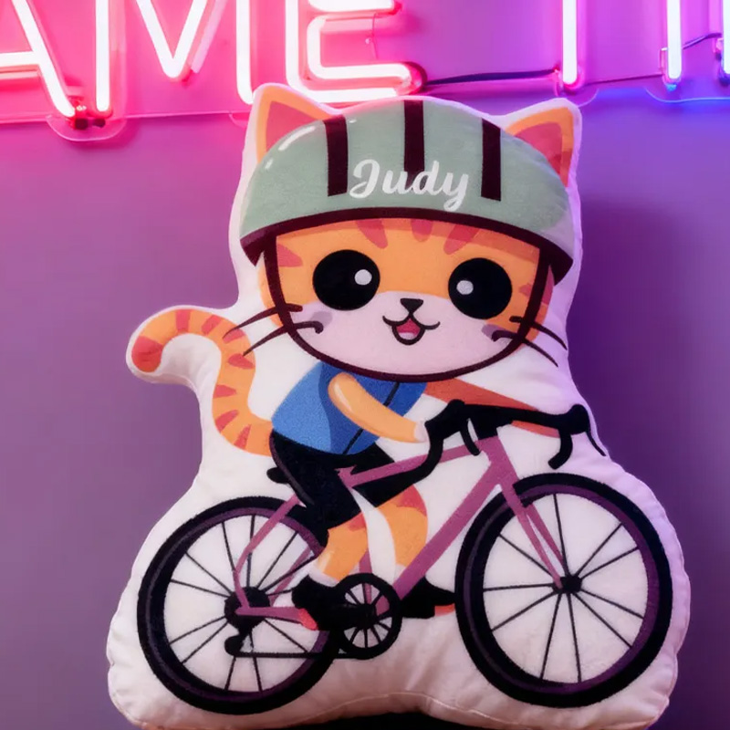 Personalized Cat Kitty Bike Pillow Cozy Graphic 3D Print Gamer Pillow Name Pillow Comfortable Travel Cushion for Kids Girls Riding Lovers