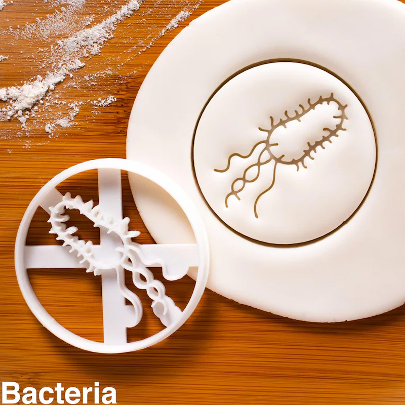 Personalized Bacteria Flask Cookie Cutter 3D Printed Microbiology Laboratory  Geeky Baking Supplies Fondant Tool Craft Stamp for Geek Lover