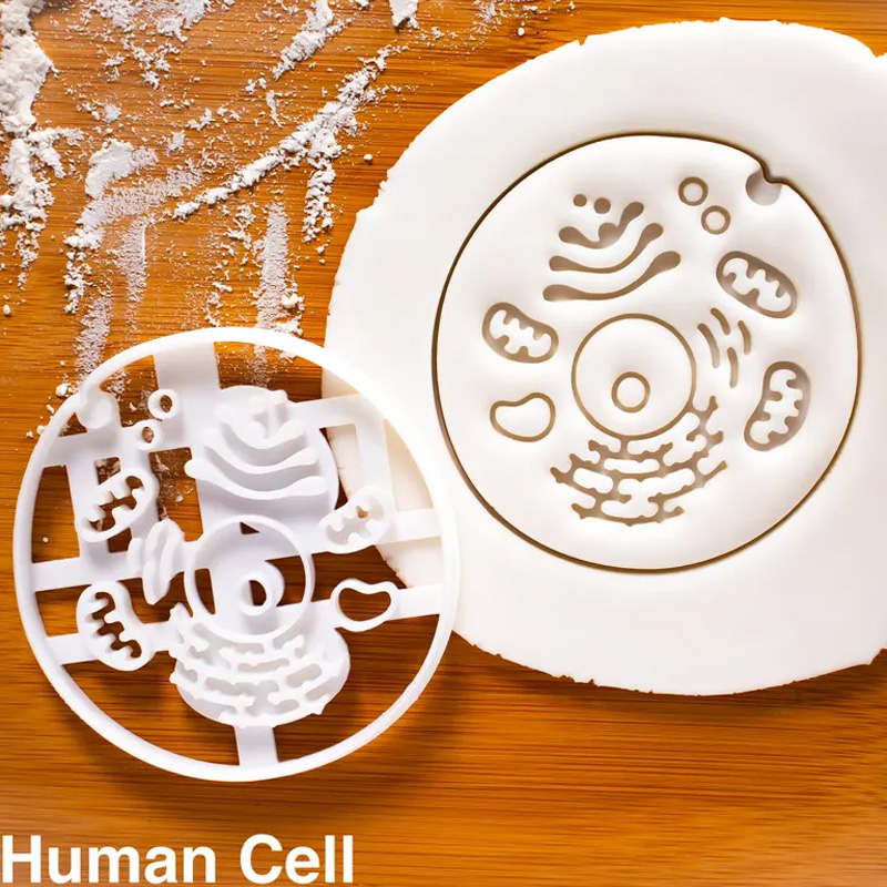 Personalized Human Cell Cookie Cutter 3D Printed Biology Shape Geeky Baking Supplies Fondant Tool Craft Stamp for Geek Lover