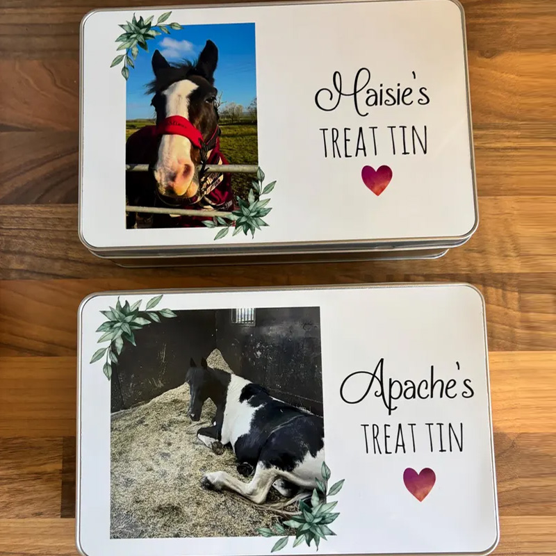 Personalized Pet Treat Storage Tin Equestrian Gift for Horse Riding Lovers