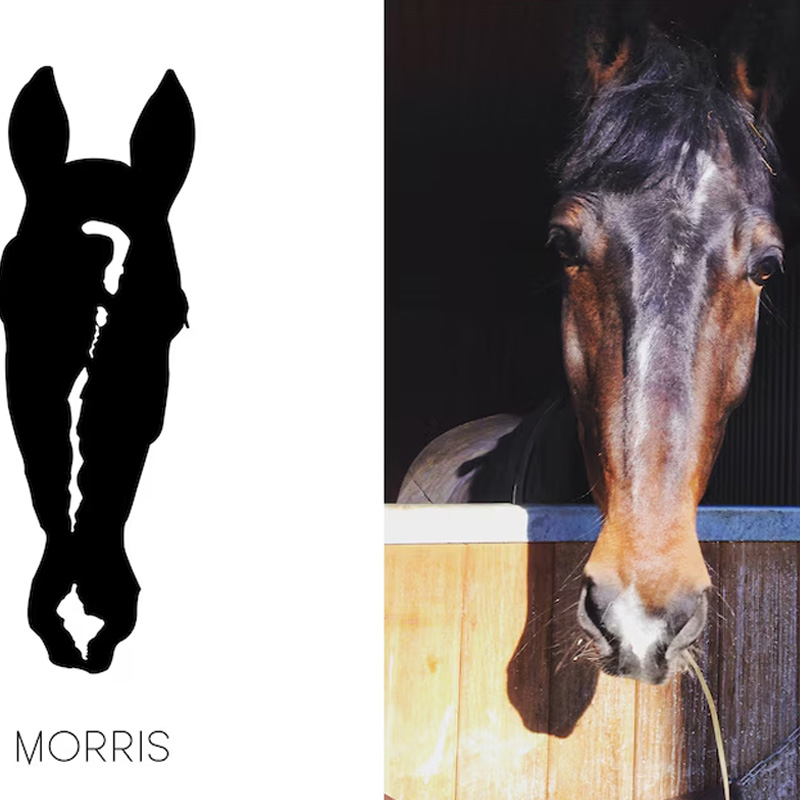 Personalized Custom Horse Photo Silhouette Print Portrait Equestrian Art Print Wall Decor Home Decor Gift for Riding Lover