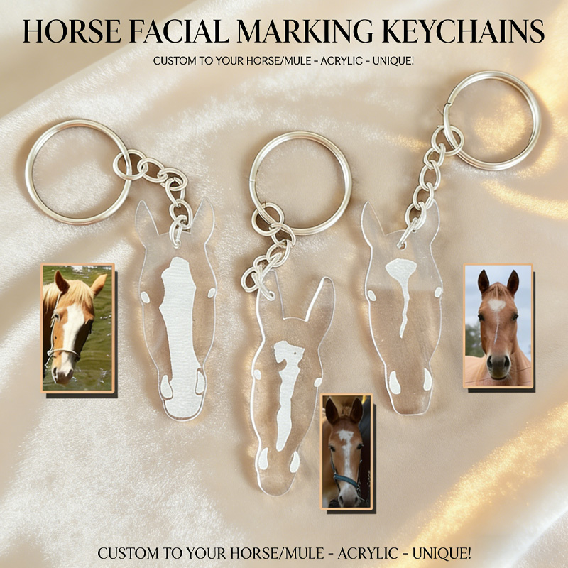 Personalized Horse Face Facial Marking Keepsake Keychain Acrylic Tassel Keyring keychain Gift for Equestrian Riding Lovers