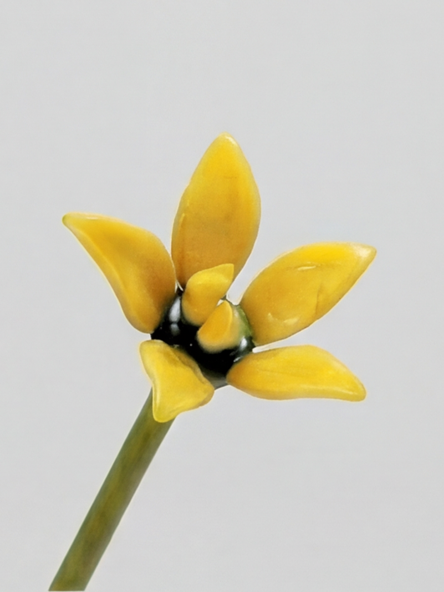 Personalized Glass Birth Month Flower Birth Flower Gift Hand Blown Spring Flower Glass Flower Bouquet Valentine's Day Gift For Her Home Decor-1