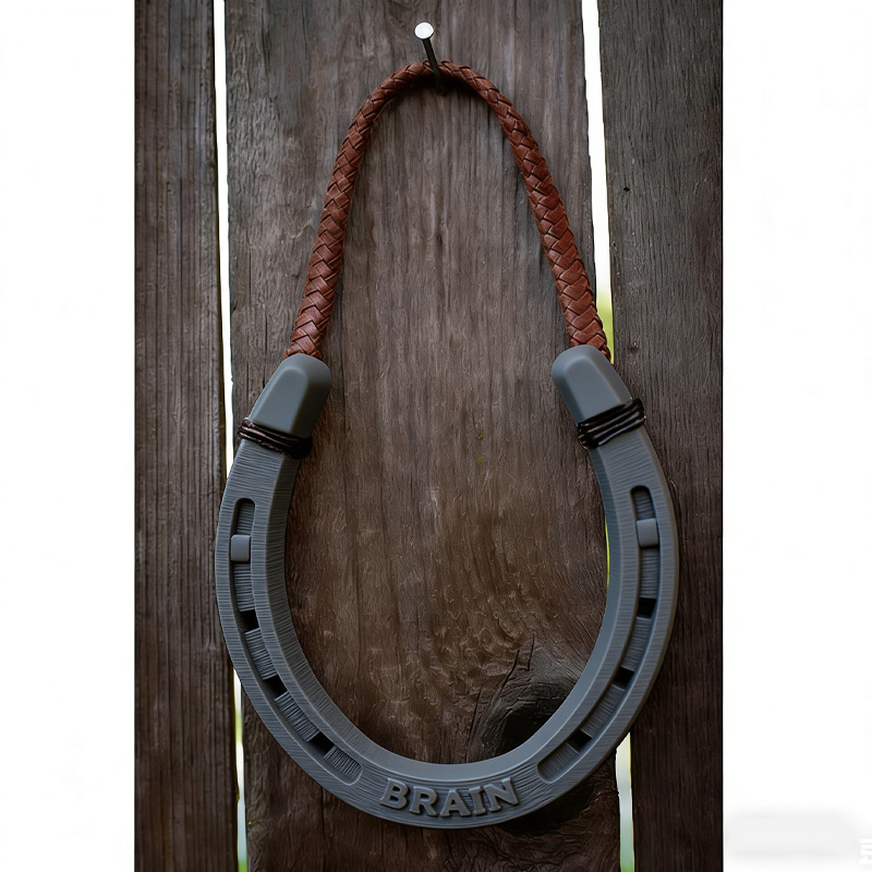 Personalized 3D Print Housewarming Gift Lucky Horseshoe Door Anniversary Good Luck Charm New Home Gift Wall Decor for Equestrain Lovers