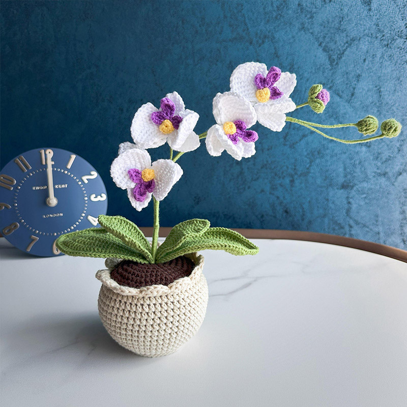 Mothers Day Gift Handmade Knitted Flower Pot Crochet Butterfly Orchid Plant Gift for Mom Grandma Mother's Day Gifts