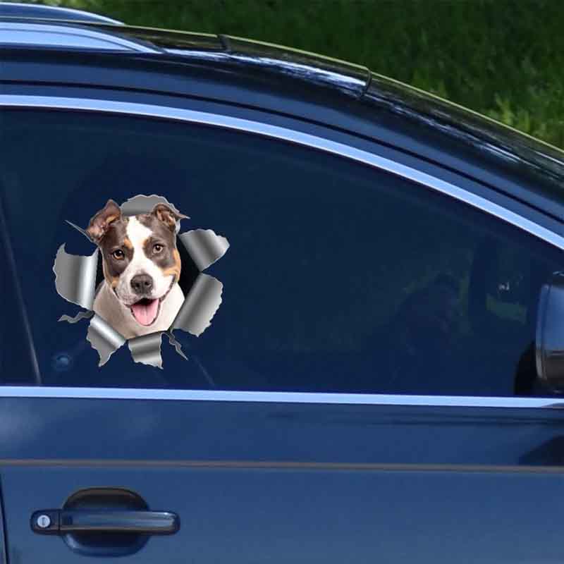 Personalized Dog Lover Photo RV Decal Cracking You Up One Paw at a Time Stickers