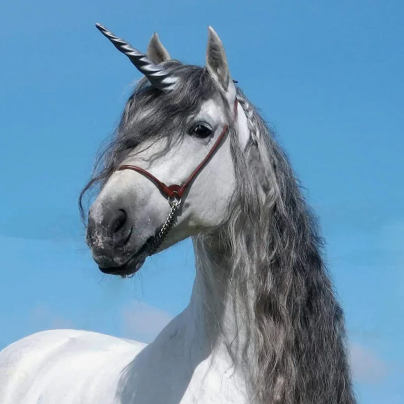 3D Print Equine Unicorn Horns Gift for Equestrain Lovers