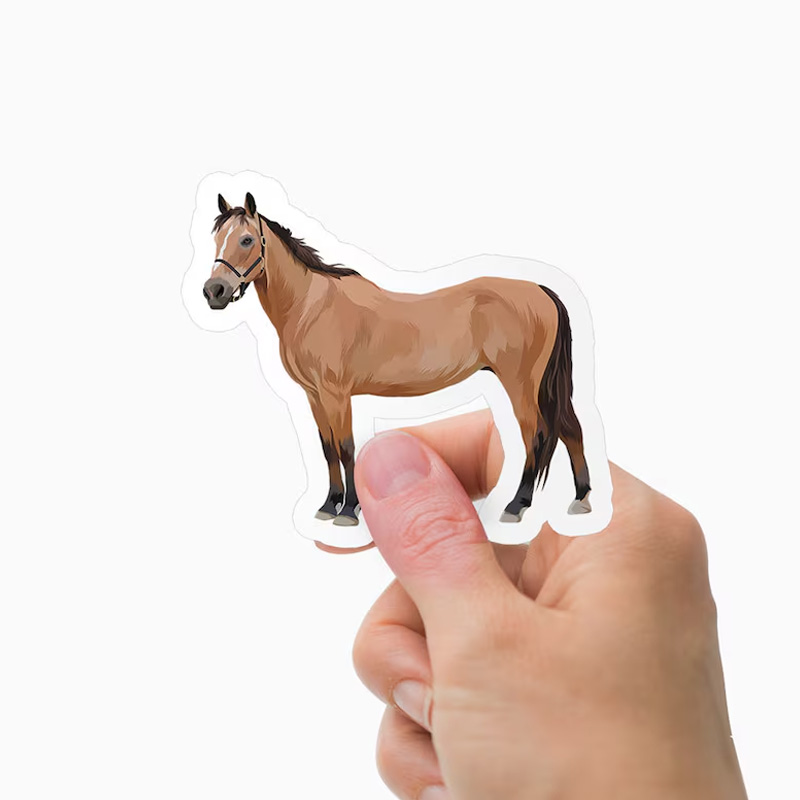 Personalized Horse Stickers Equestrian Horseback Riding Stickers Photo Drawing for Equestrian Lovers