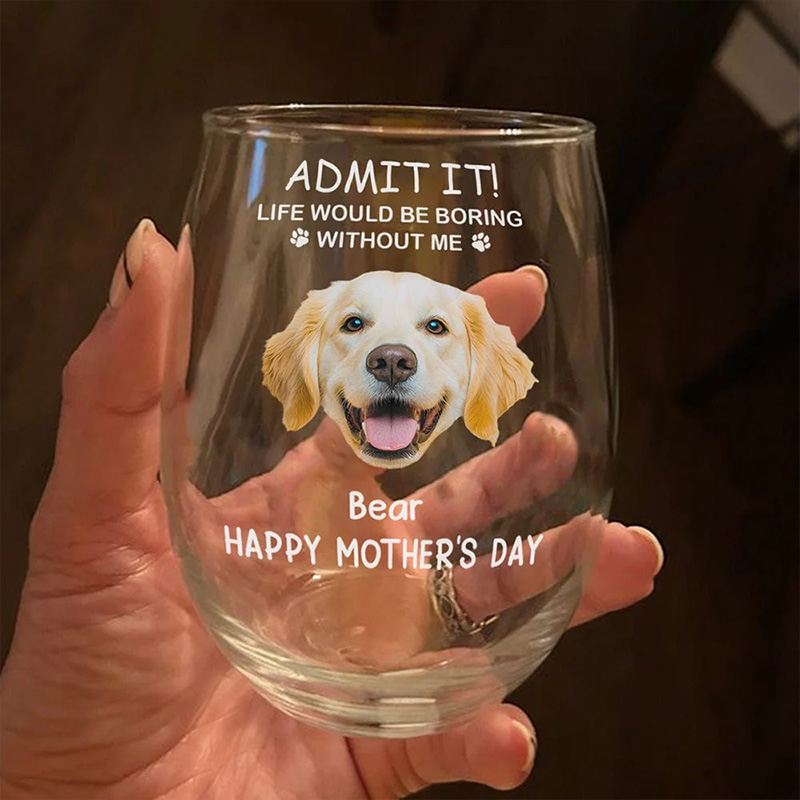 Personalized "Life Would Be Boring Without Me" Pet Photo Life Wine Glass 16oz Wine Glass Gift for Pet Lover