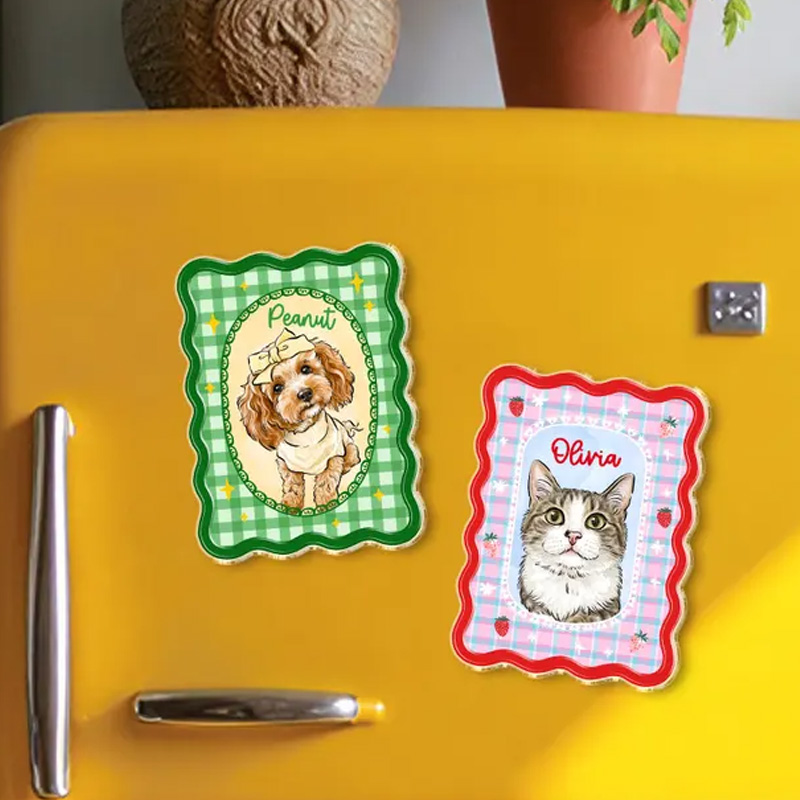 Personalized Gingham Frame Photo Fridge Decor Custom Baby Kids Dog Picture Colorful Wavy Border Magnets