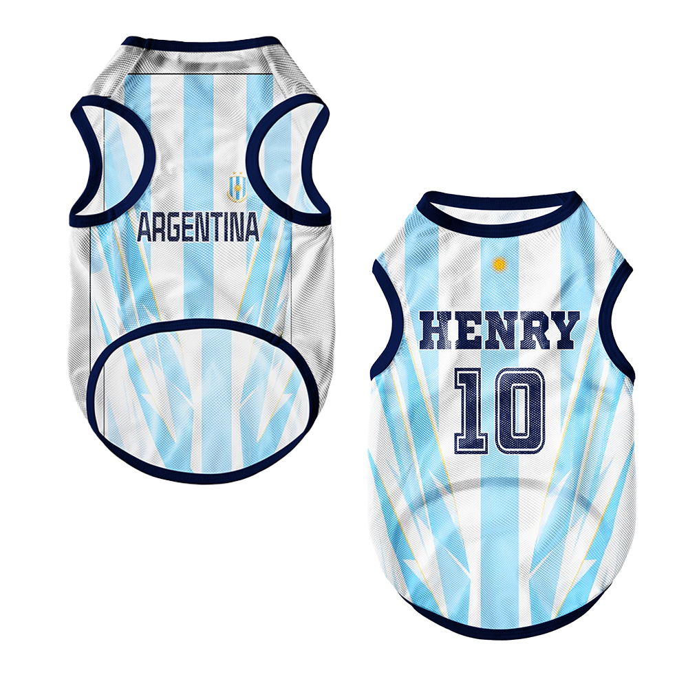 Personalized Pet Mesh Jerseys 2026 World Football National Team JerseysGift for Pet