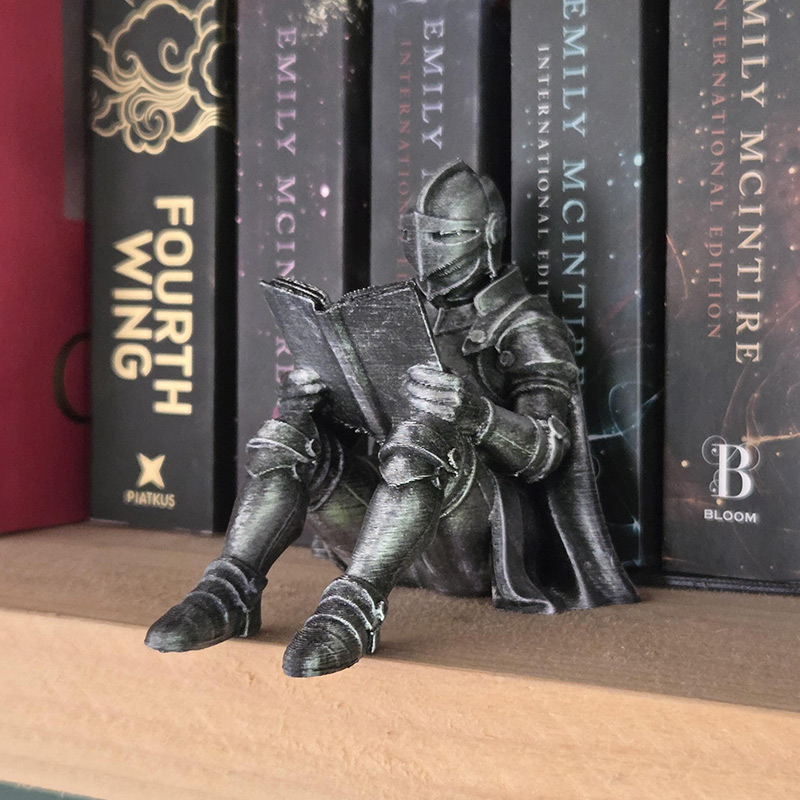 Personalized Medieval Knight Book Nook Armored Book Lover Figurine Fantasy Bookshelf Decor Unique Gift for Readers Gift for Book Lover