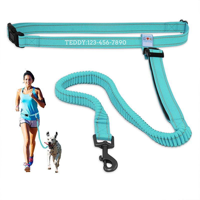 Personalized Pawtitas Handsfree Dog Leash Reflective Padded Running Belt with Dog Name