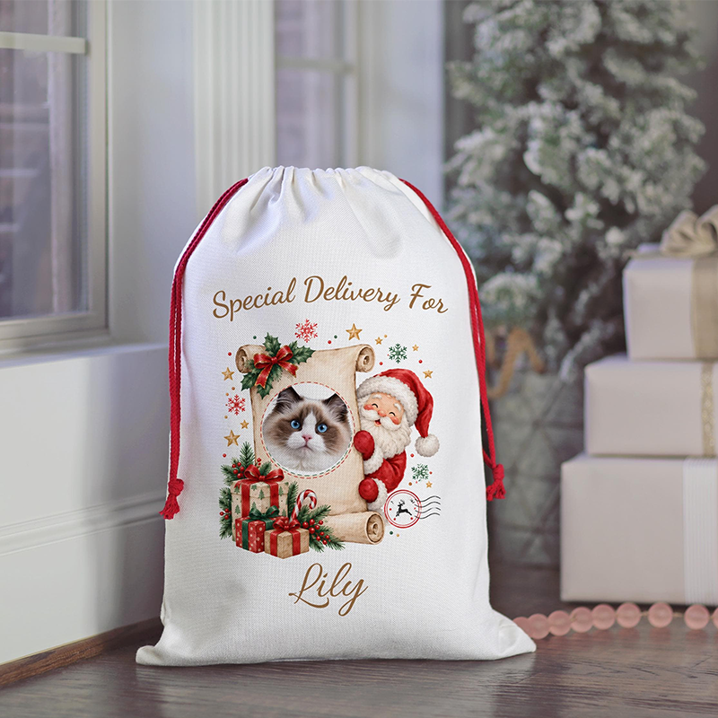 Personalized Santa Claus Sack Personalized with Pet Photo, Dog & Cat, Large Santa Bag Personalized, Christmas Eve Gift Bag, Custom Santa Sack