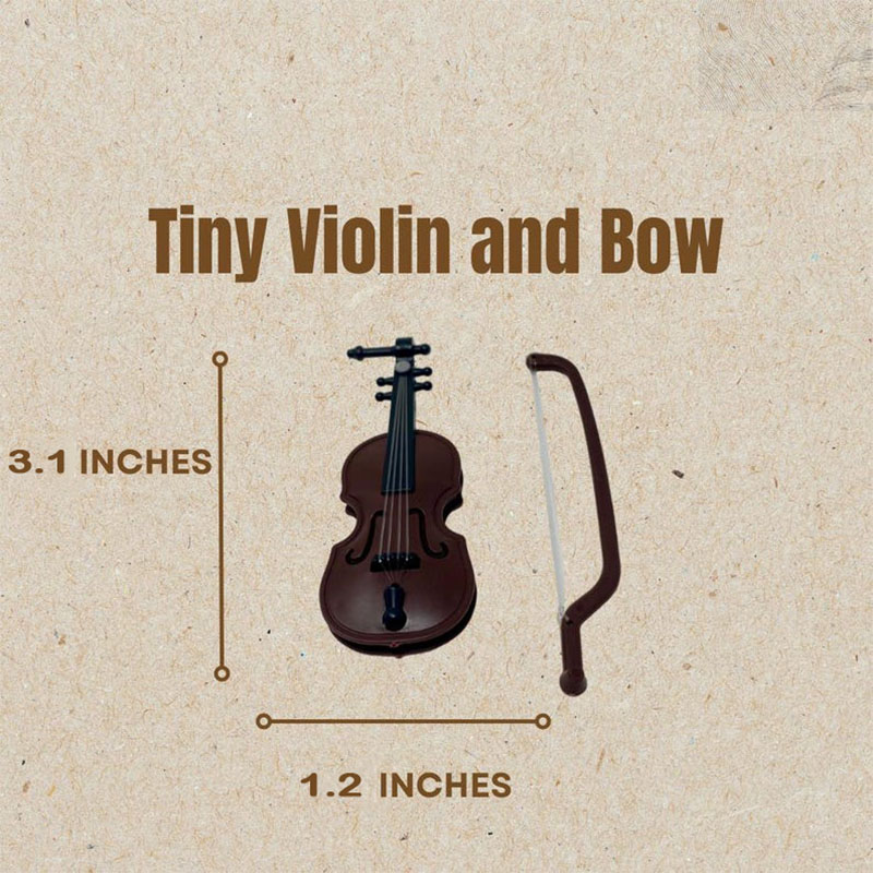 Personalized World's Tiniest Violin Funny Gift Customize the Back with Name or Text White Elephant Gifts Mini Novelty Joke World Smallest Violin for Kids Music Lovers Friends for Birthday Christmas Performance