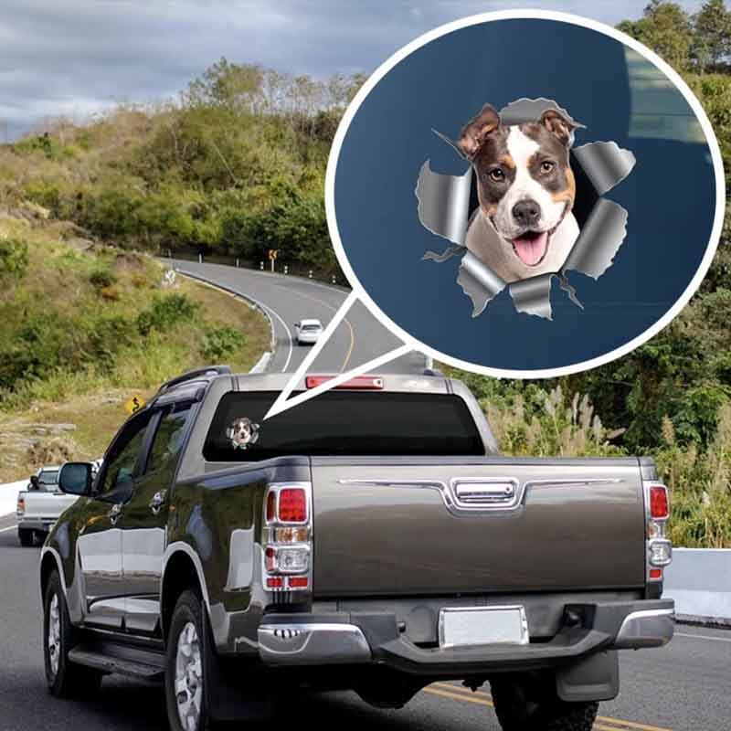 Personalized Dog Lover Photo RV Decal Cracking You Up One Paw at a Time Stickers