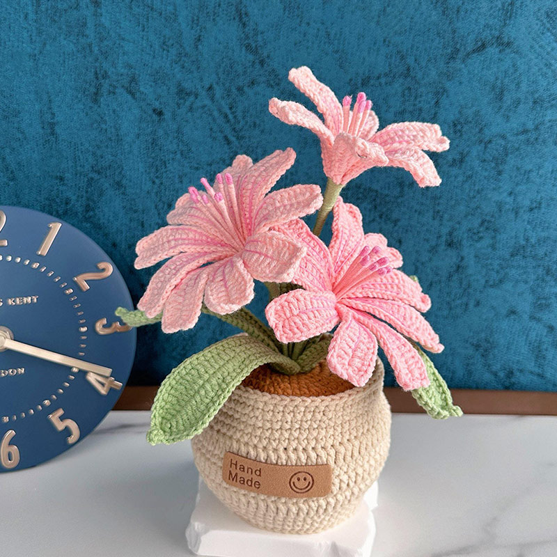 Mothers Day Gift Handmade Knitted Flower Pot Crochet Butterfly Orchid Plant Gift for Mom Grandma Mother's Day Gifts
