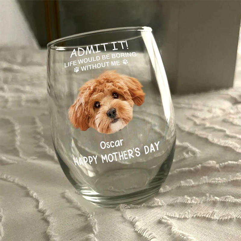 Personalized "Life Would Be Boring Without Me" Pet Photo Life Wine Glass 16oz Wine Glass Gift for Pet Lover