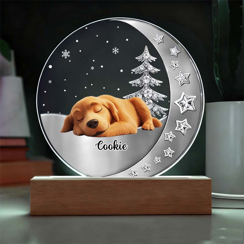 Personalized Dog Lover Beside You Dog Light