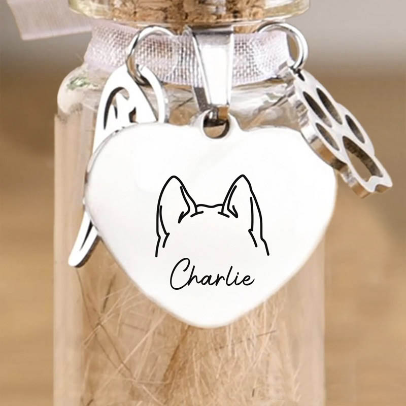 Personalized Pet Lover Fur Keepsake Jar Memorial Gifts for Dogs Cats Gone but Not Forgotten