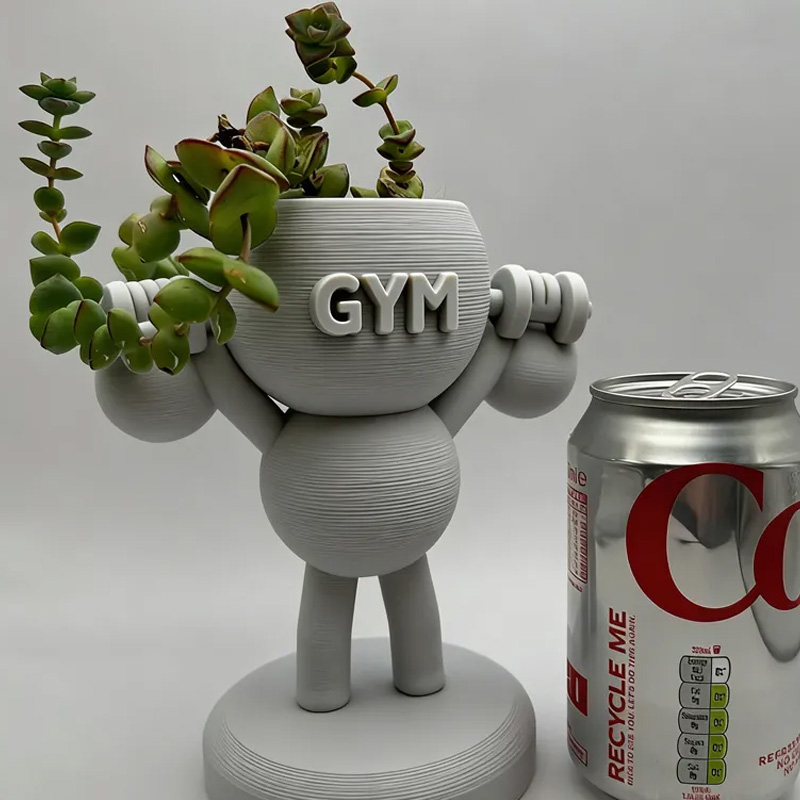 Personalized 3D Printed Kettlebells Succulent Plant Pot Weightlifter Strength Trainer Airplant Succulent Holder Gift for Friends Gym Rat Gym Lovers