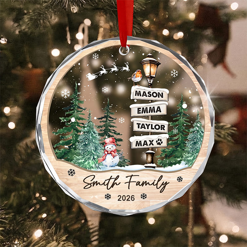 Personalized Family Names Christmas Ornament 2026 Custom Family with Pets Ornaments Family of 3 4 up to 15 Members Christmas Gift for Family