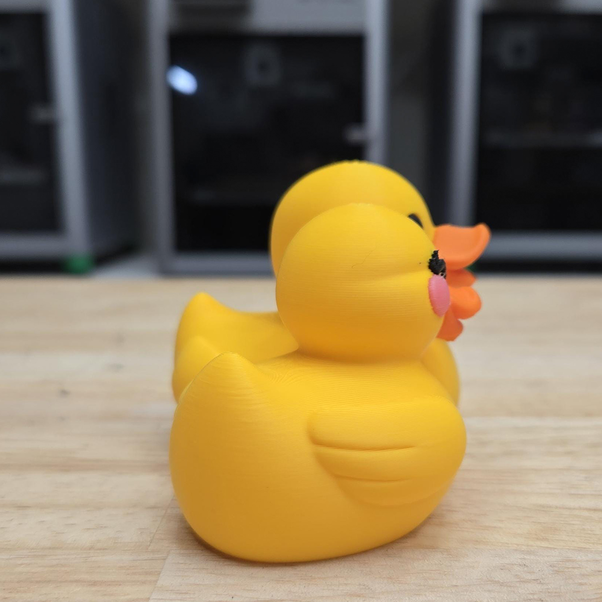 Personalized 3D Printed Couples Ducks Cute Couple Gift Home Decorations