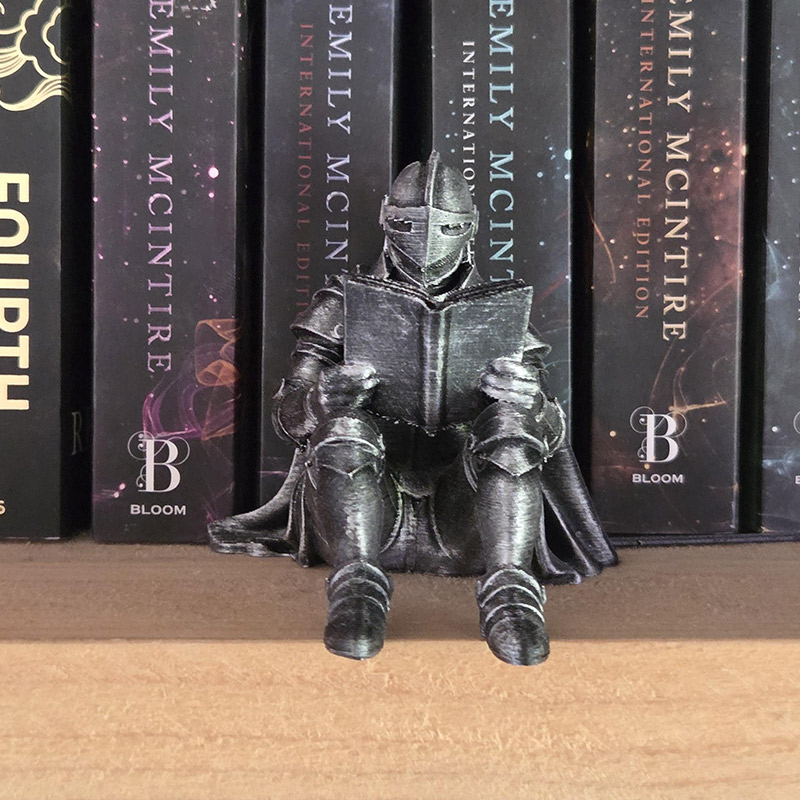 Personalized Medieval Knight Book Nook Armored Book Lover Figurine Fantasy Bookshelf Decor Unique Gift for Readers Gift for Book Lover