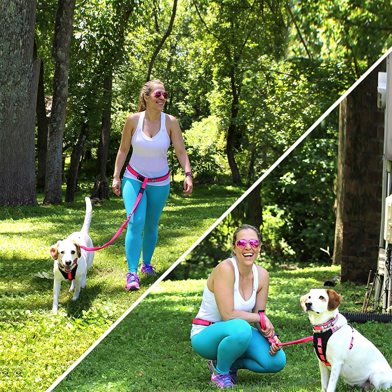Personalized Pawtitas Handsfree Dog Leash Reflective Padded Running Belt with Dog Name