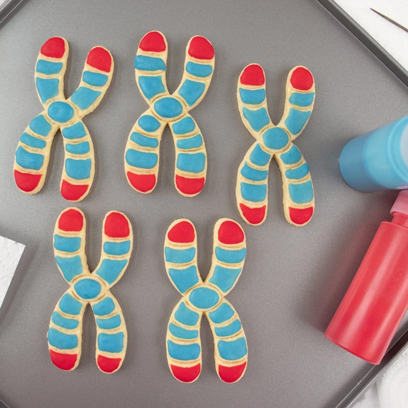 Personalized DNA Cookie Cutter 3D Printed Microbiology Genetics Science Baking Supplies Fondant Tool Craft Stamp for Geek Lover